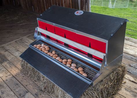 metal egg collecting nesting boxes roll away eggs|rollaway egg nesting boxes plans.